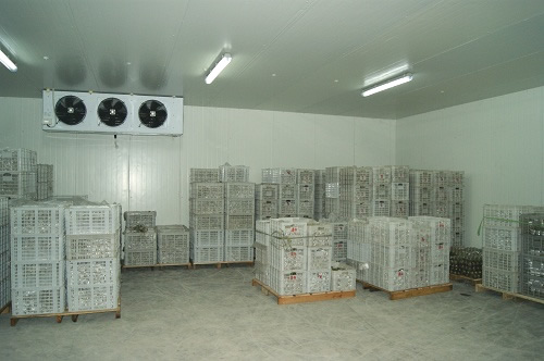 氣調(diào)保鮮庫造價影響因素有哪些