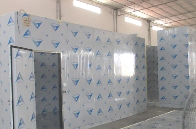 杭州冷飲冷庫建造 棒冰冷庫價(jià)格