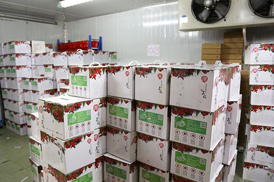 酒店冷庫建造 酒店冷庫安裝須知