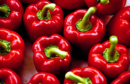 不同蔬菜保鮮冷庫的溫度如何調節