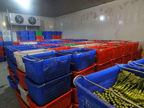 食品冷庫(kù)保鮮的原理