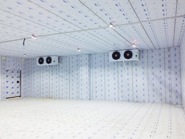 保鮮冷藏庫建設成本一平方要多少錢