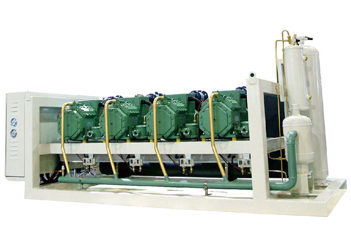 德國比澤爾中高溫活塞并聯機組