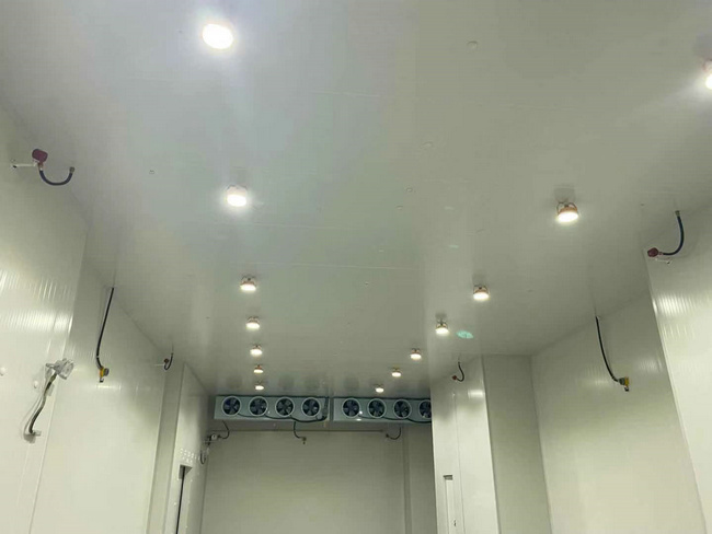 衢州建造20平方保鮮冷庫(kù)需要多少錢?